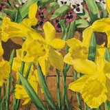 Narzissen 100 x 60 cm