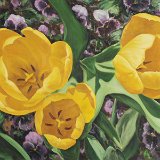 Tulpen gelb 100 x 70 cm