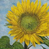 Sonnenblume 70 x 60 cm
