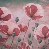Mohn 140 x 90 cm