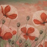 Mohn 120 x 80 cm