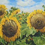 Sonnenblumen 80 x 60 cm