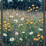 Blumenwiese Triptychon 180 x 90 cm
