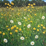 Blumenwiese 60 x 50 cm