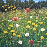 Blumenwiese 100 x 70 cm