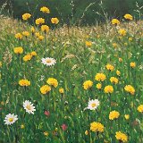 Blumenwiese 80 x 60 cm