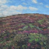 Cap Fréhel 40 x 30 cm