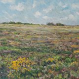 Cap Fréhel 70 x 50 cm