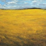 Rapsfeld 100 x 80 cm