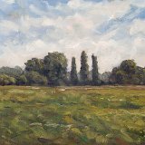 Rheinauen 30 x 24 cm