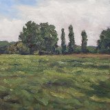 Rheinauen 25 x 25 cm