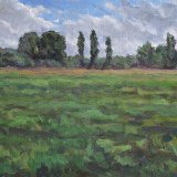 Rheinauen 40 x 30 cm