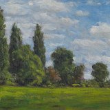 Rheinauen 40 x 30 cm