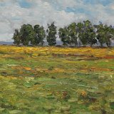 Landschaft auf Darß 40 x 30 cm