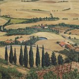 Bei Monticchiello 100 x 80 cm