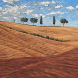 San Quirico 100 x 80 cm