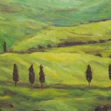 Val D'Orcia 40 x 30 cm